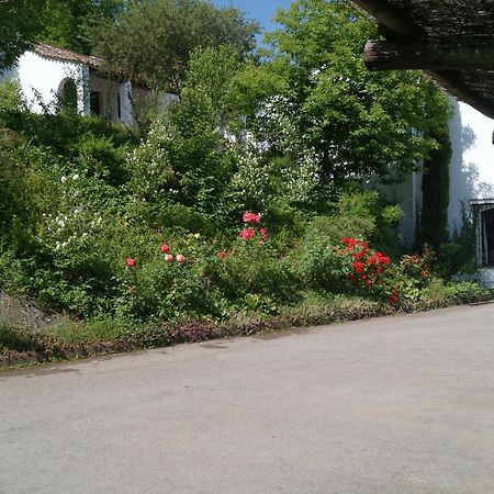 Finca Valbono Apartamentos Rurales Y Hotel Арасена Экстерьер фото