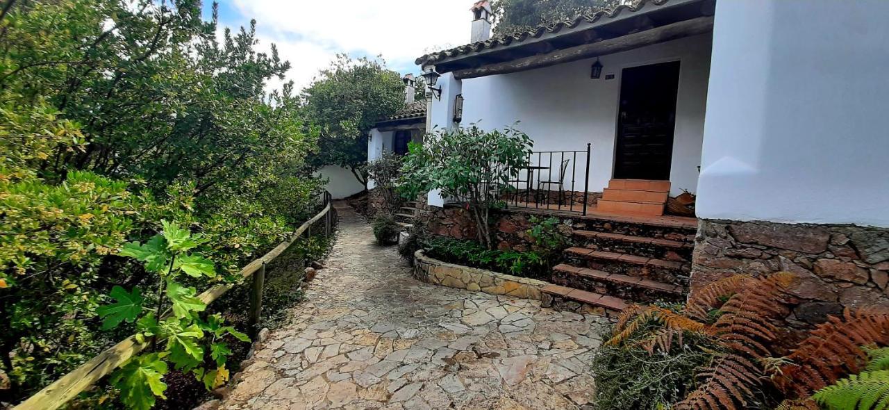Finca Valbono Apartamentos Rurales Y Hotel Арасена Экстерьер фото
